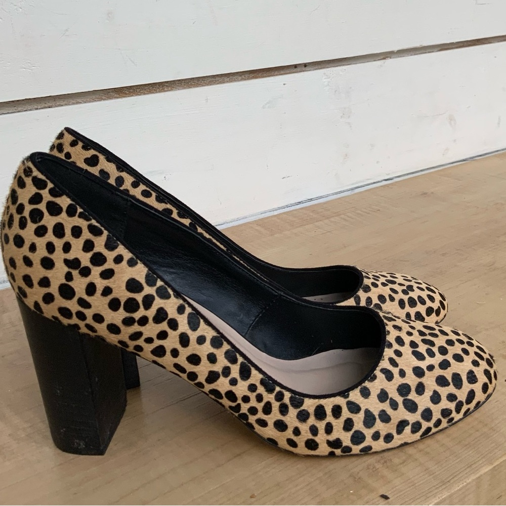 Sole society giselle leopard pump